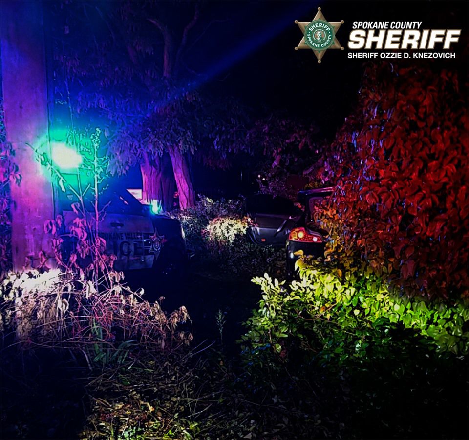 Spokane Valley deputies arrest wanted driver after early morning pursuit